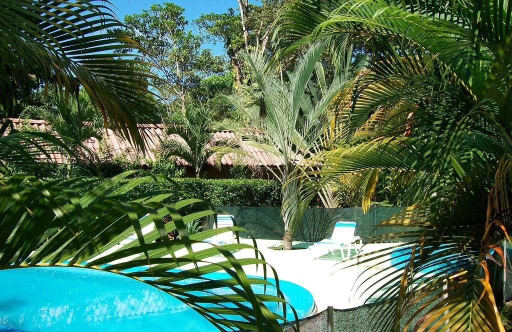 Luna Caribena Village Puerto Viejo de Talamanca Экстерьер фото