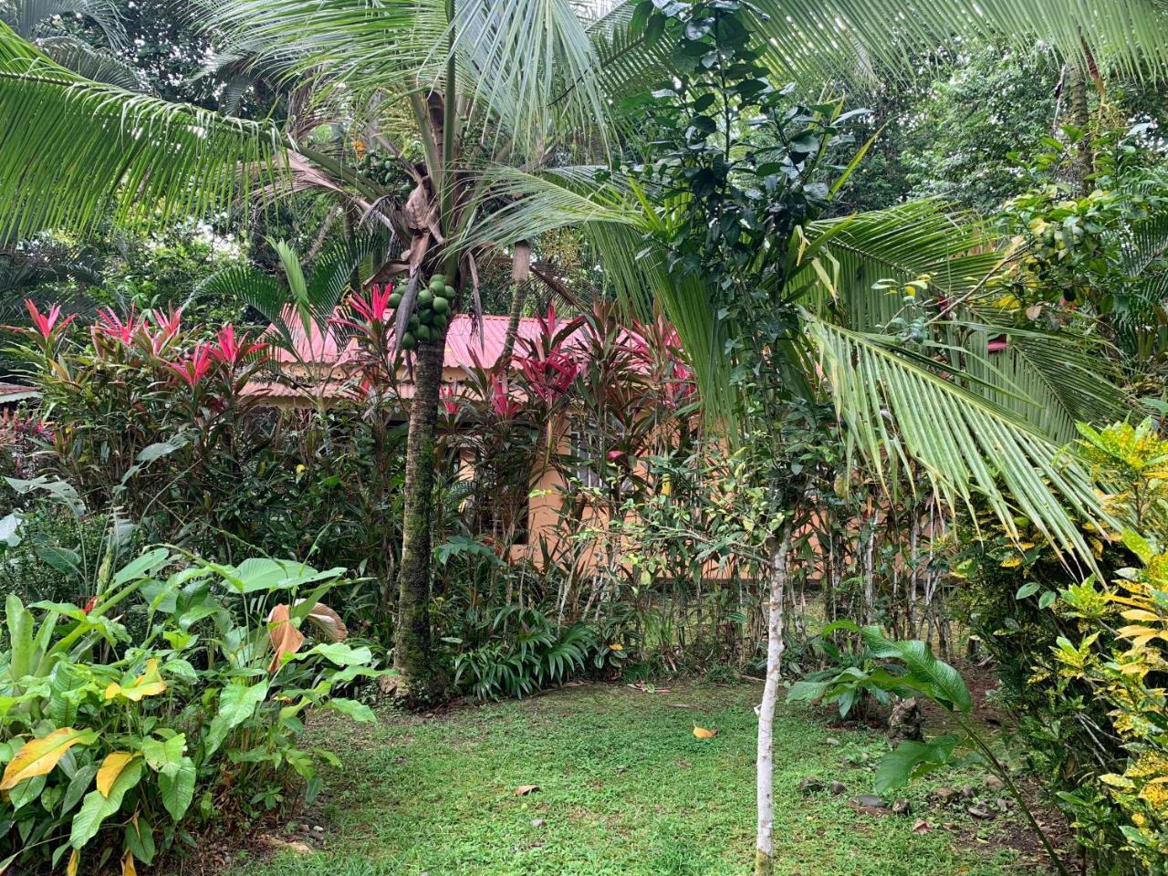 Luna Caribena Village Puerto Viejo de Talamanca Экстерьер фото