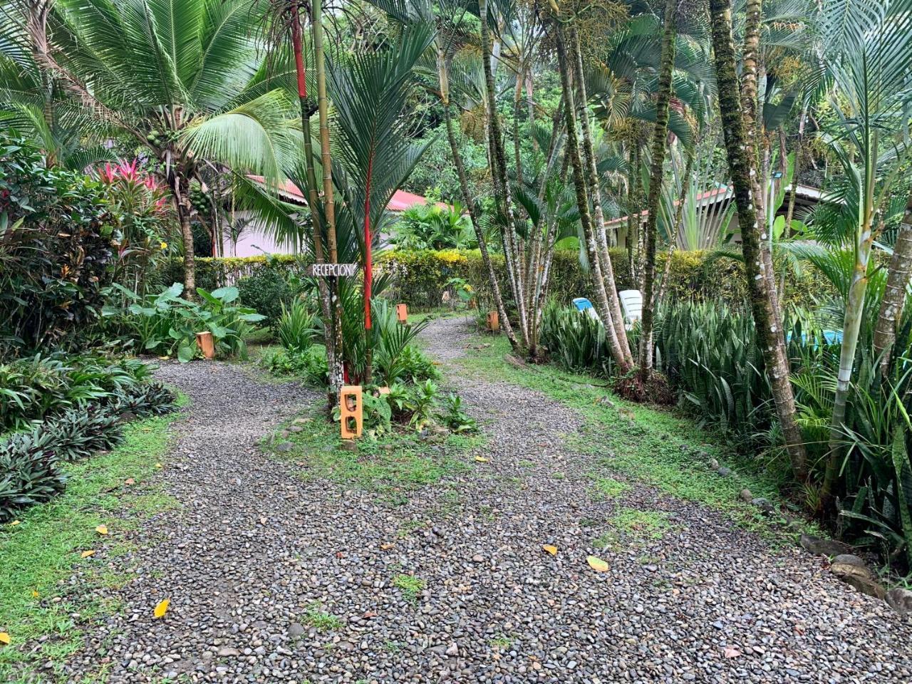 Luna Caribena Village Puerto Viejo de Talamanca Экстерьер фото