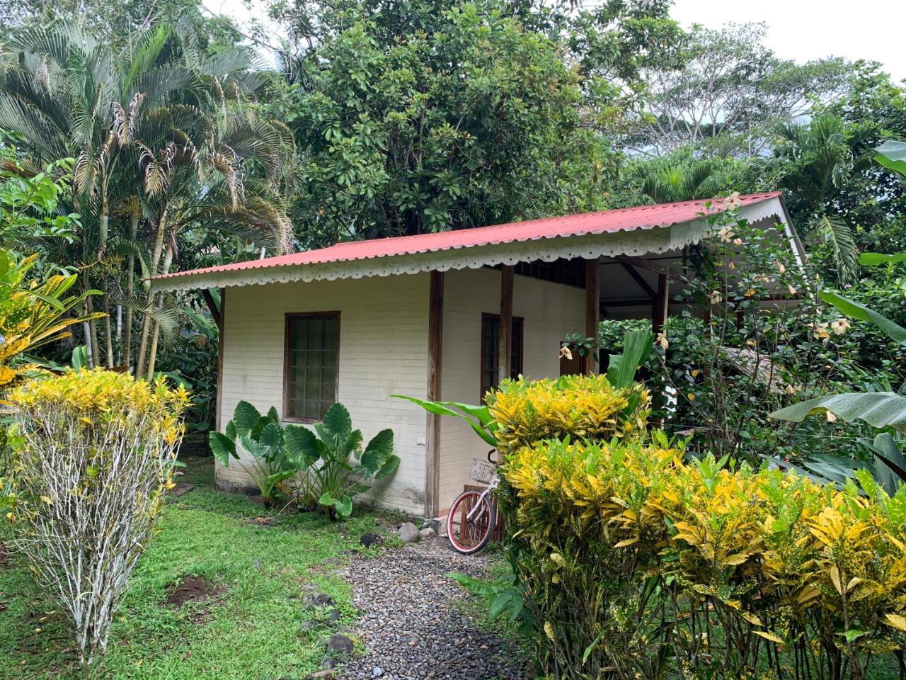 Luna Caribena Village Puerto Viejo de Talamanca Экстерьер фото