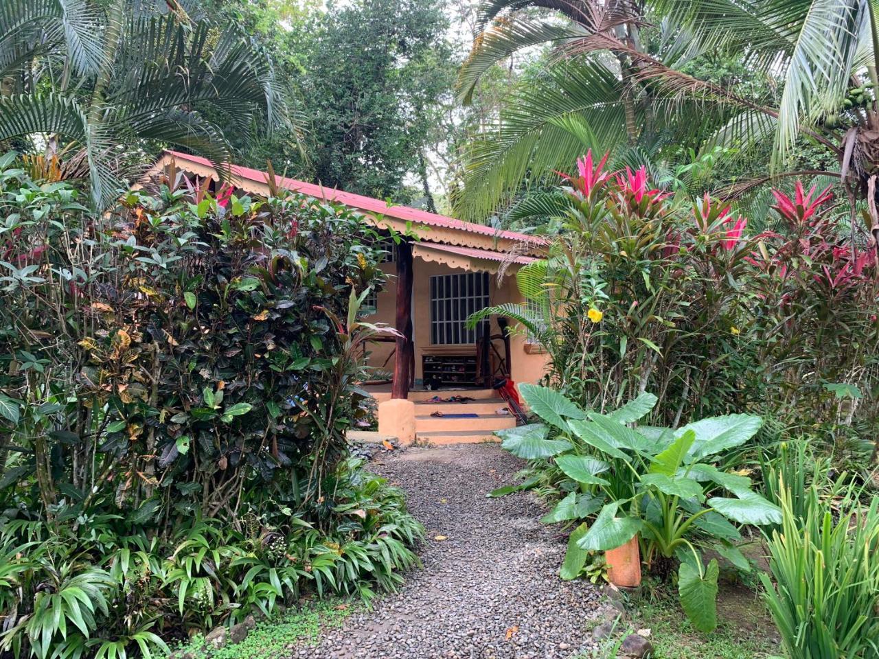 Luna Caribena Village Puerto Viejo de Talamanca Экстерьер фото