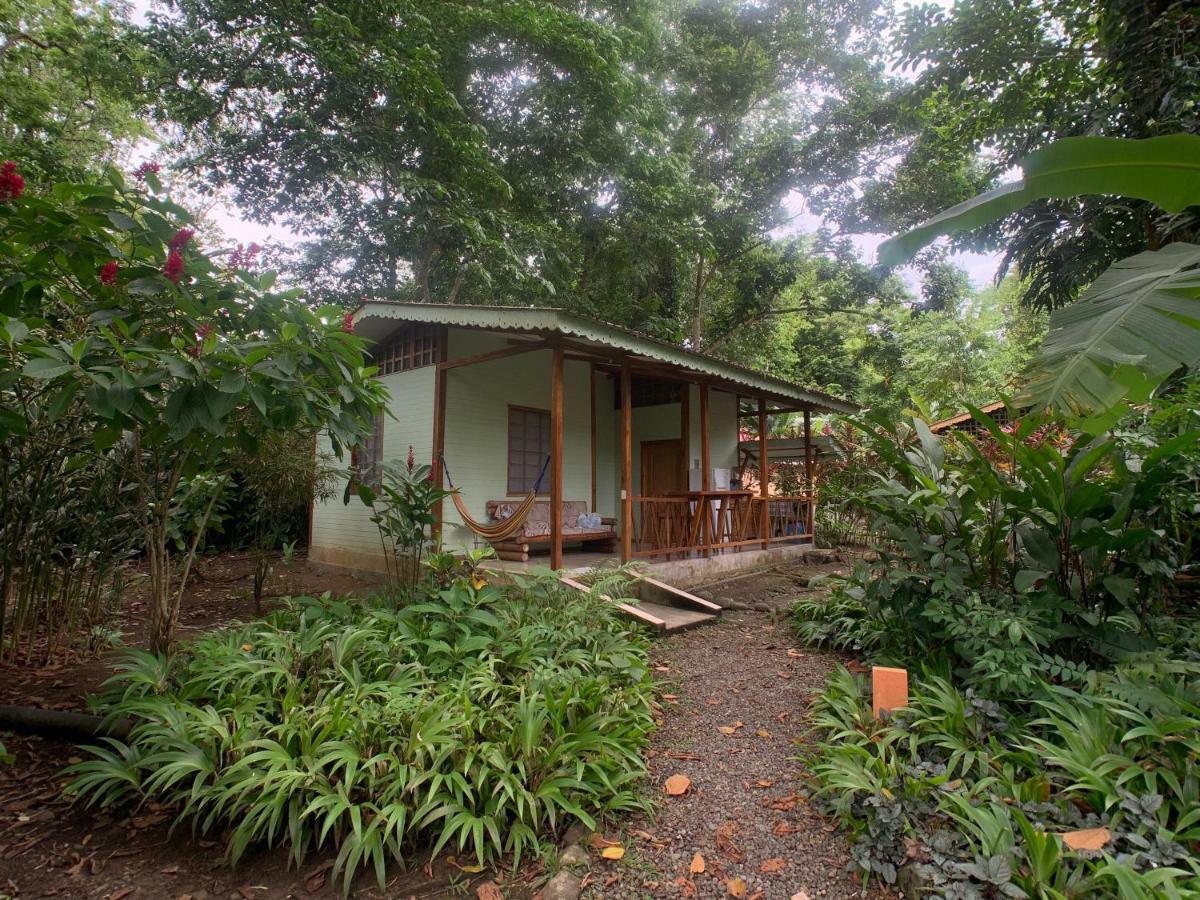 Luna Caribena Village Puerto Viejo de Talamanca Экстерьер фото