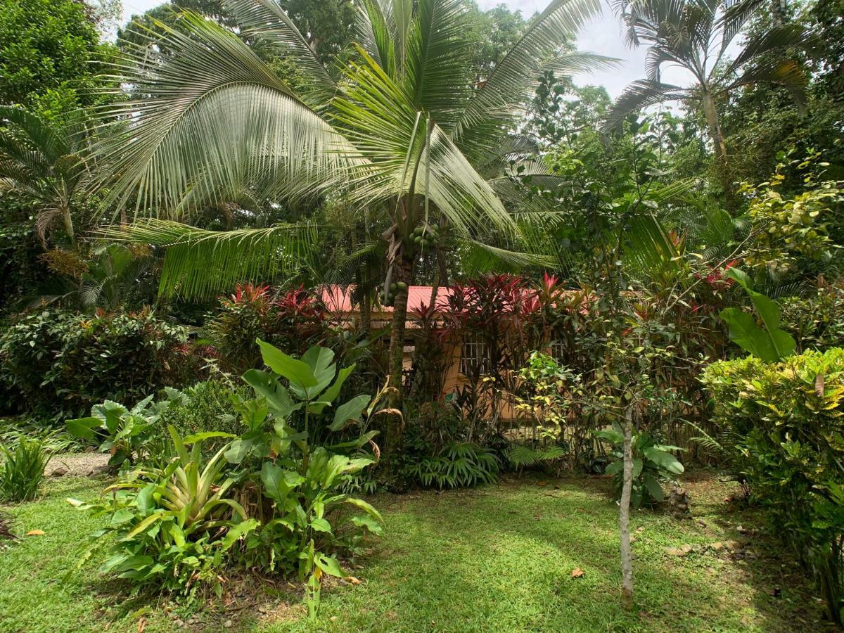 Luna Caribena Village Puerto Viejo de Talamanca Экстерьер фото
