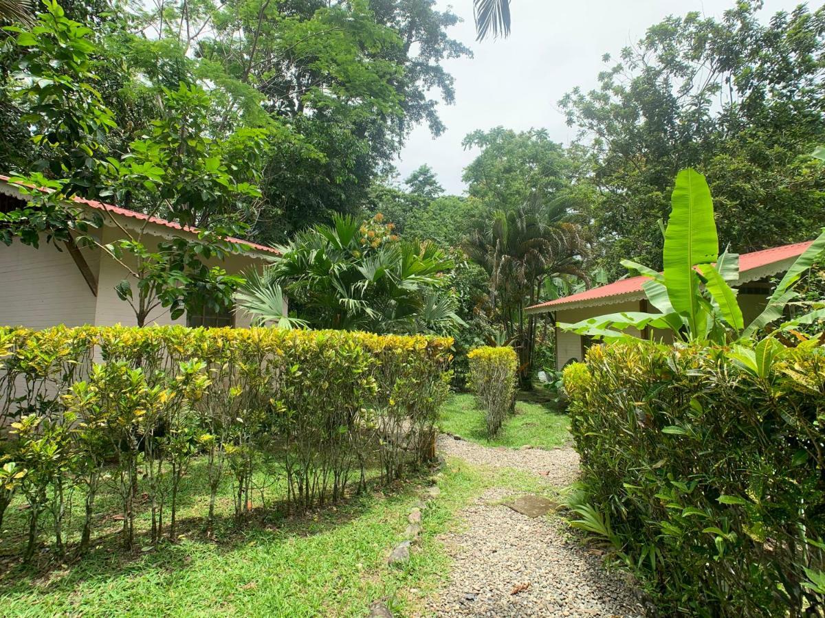 Luna Caribena Village Puerto Viejo de Talamanca Экстерьер фото